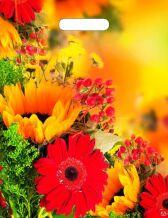 � ���� ��������!